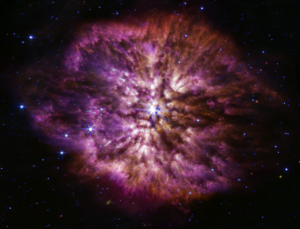 JWST Star Trackers